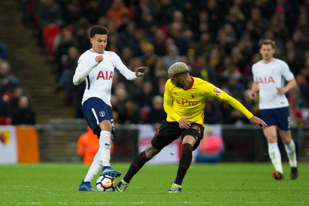 展望莱夫利 展望莱夫利