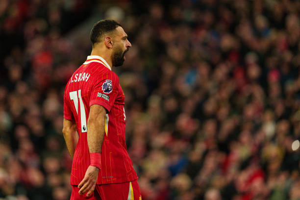 深受本土球 深受本土球