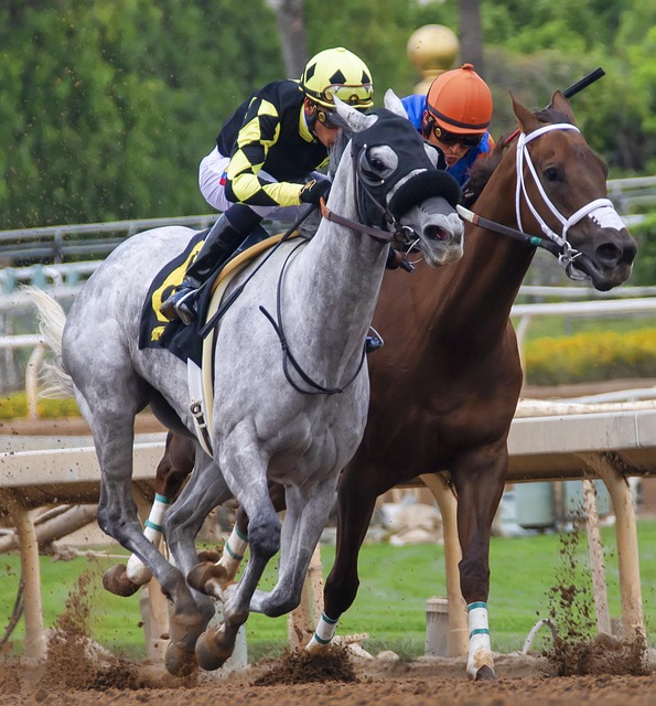 自然来看 自然来看