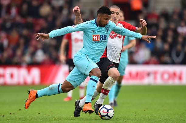 这枚像大熊 这枚像大熊